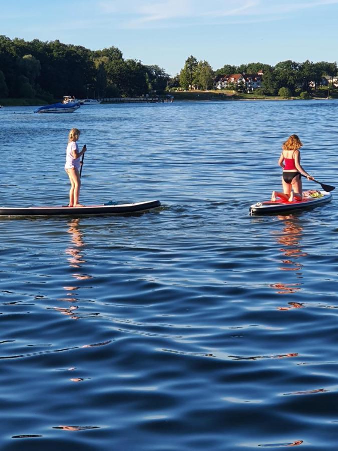 Seeschwalbe Plau * Plau am See