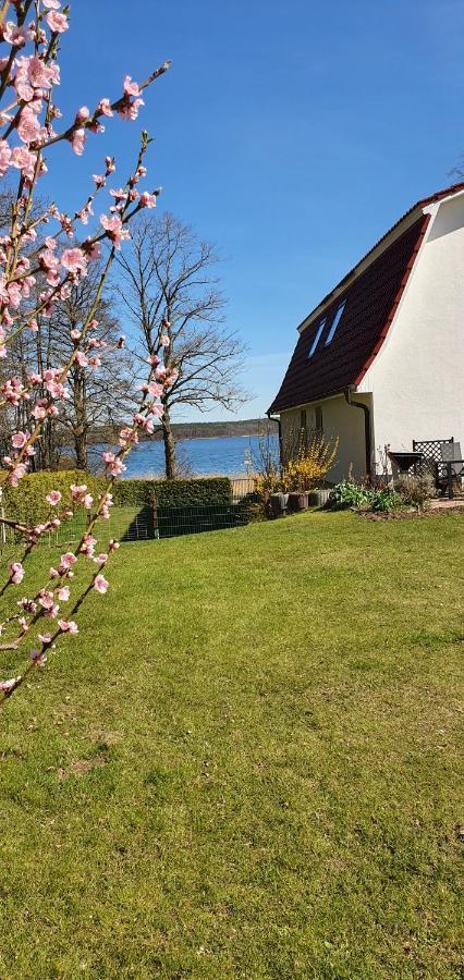 Apartment Seeschwalbe Plau Plau am See