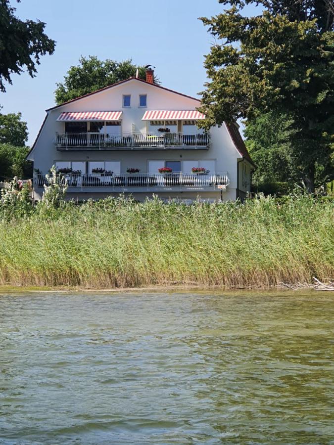 Seeschwalbe Plau Lejlighed *