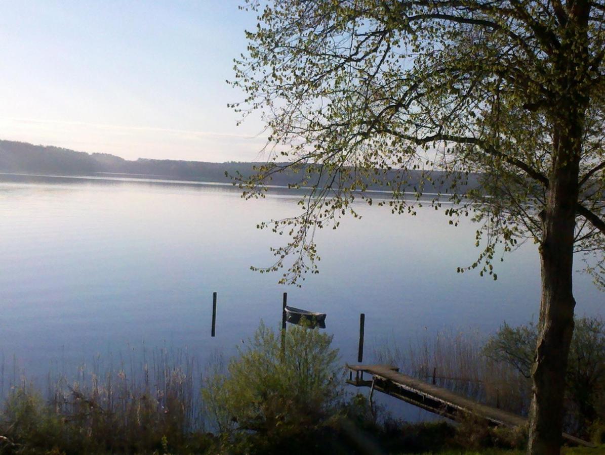 Apartment Seeschwalbe Plau Plau am See