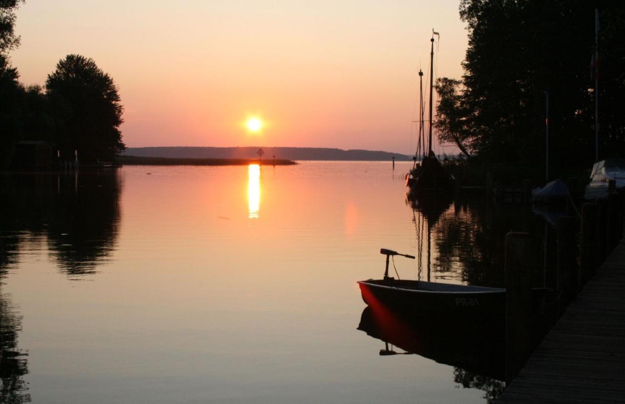 Seeschwalbe Plau *