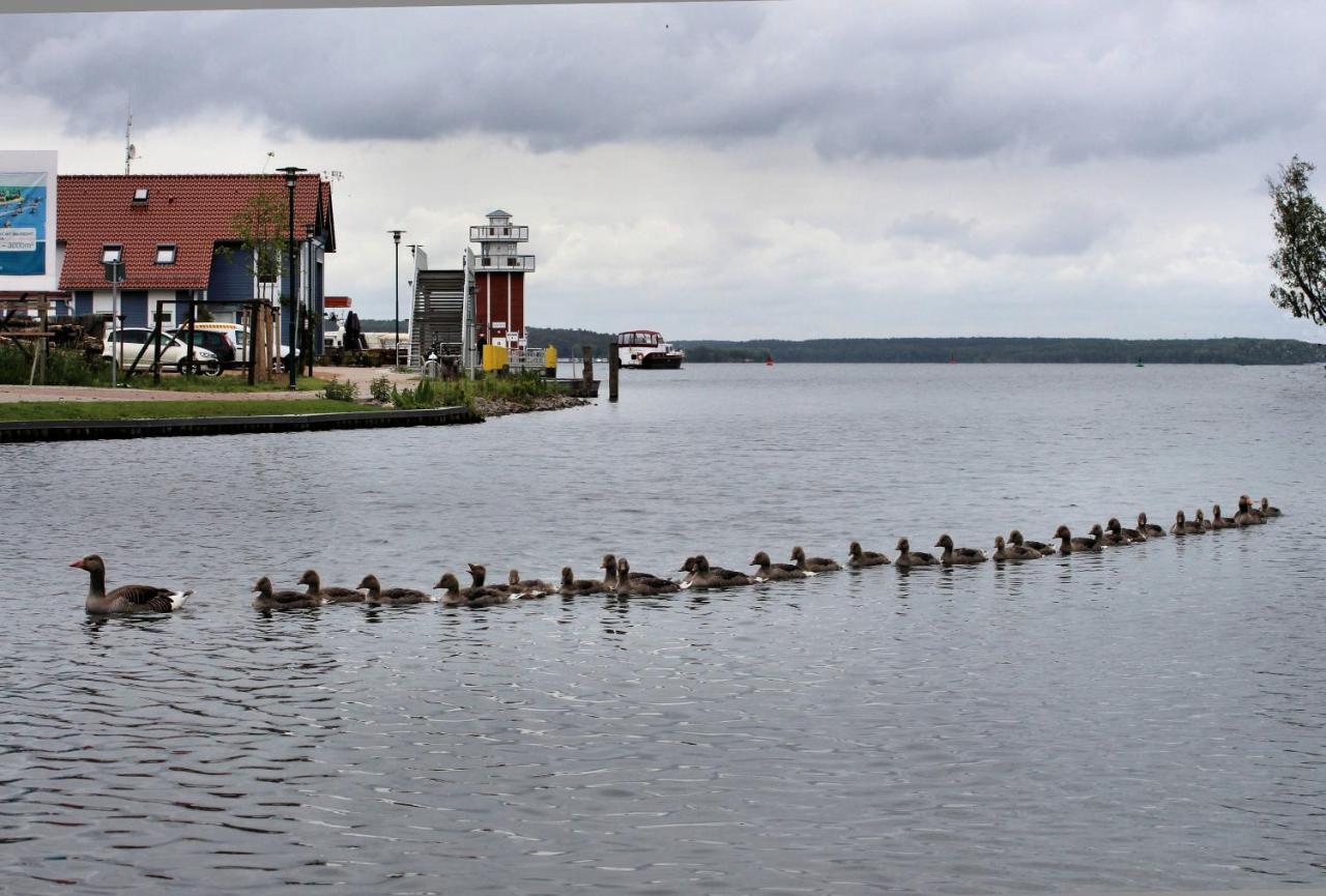 Apartment Seeschwalbe Plau Plau am See