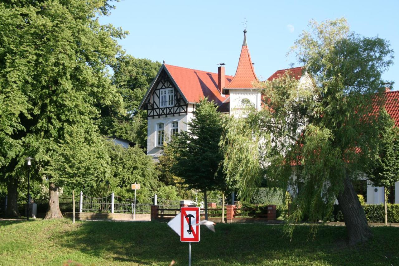 Seeschwalbe Plau *