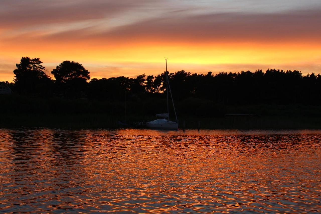 Seeschwalbe Plau Plau am See