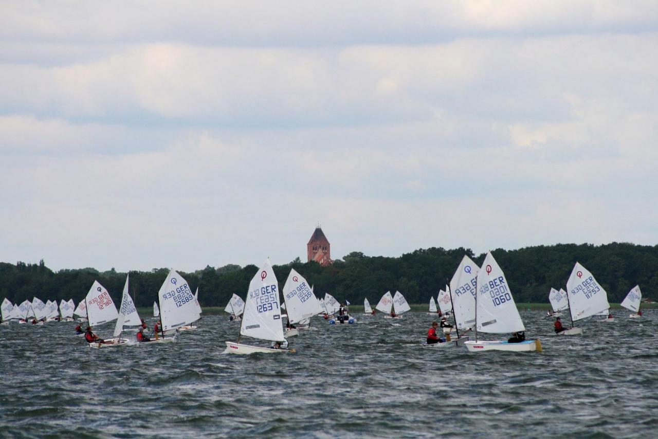 Seeschwalbe Plau * Plau am See