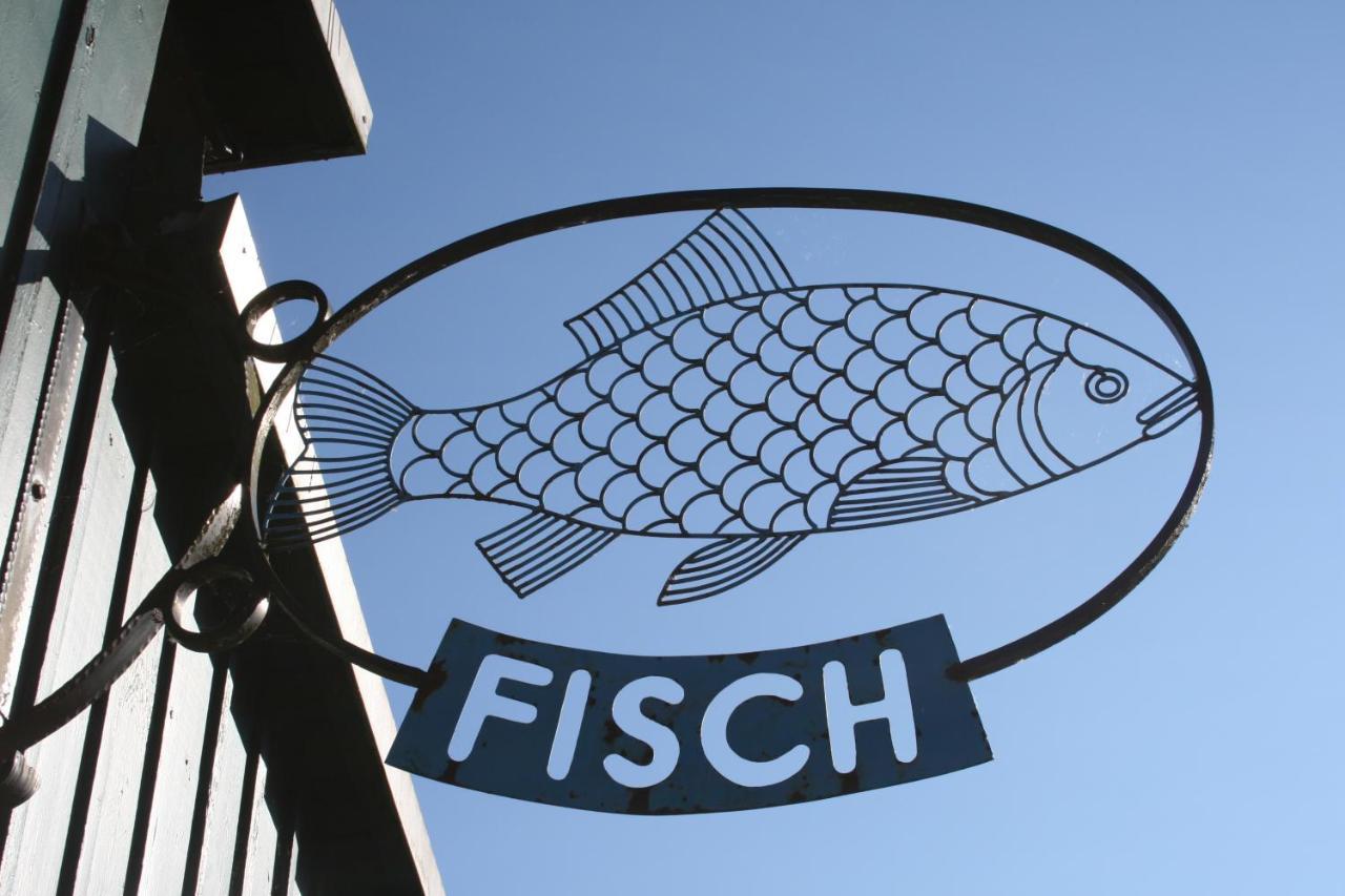 Seeschwalbe Plau