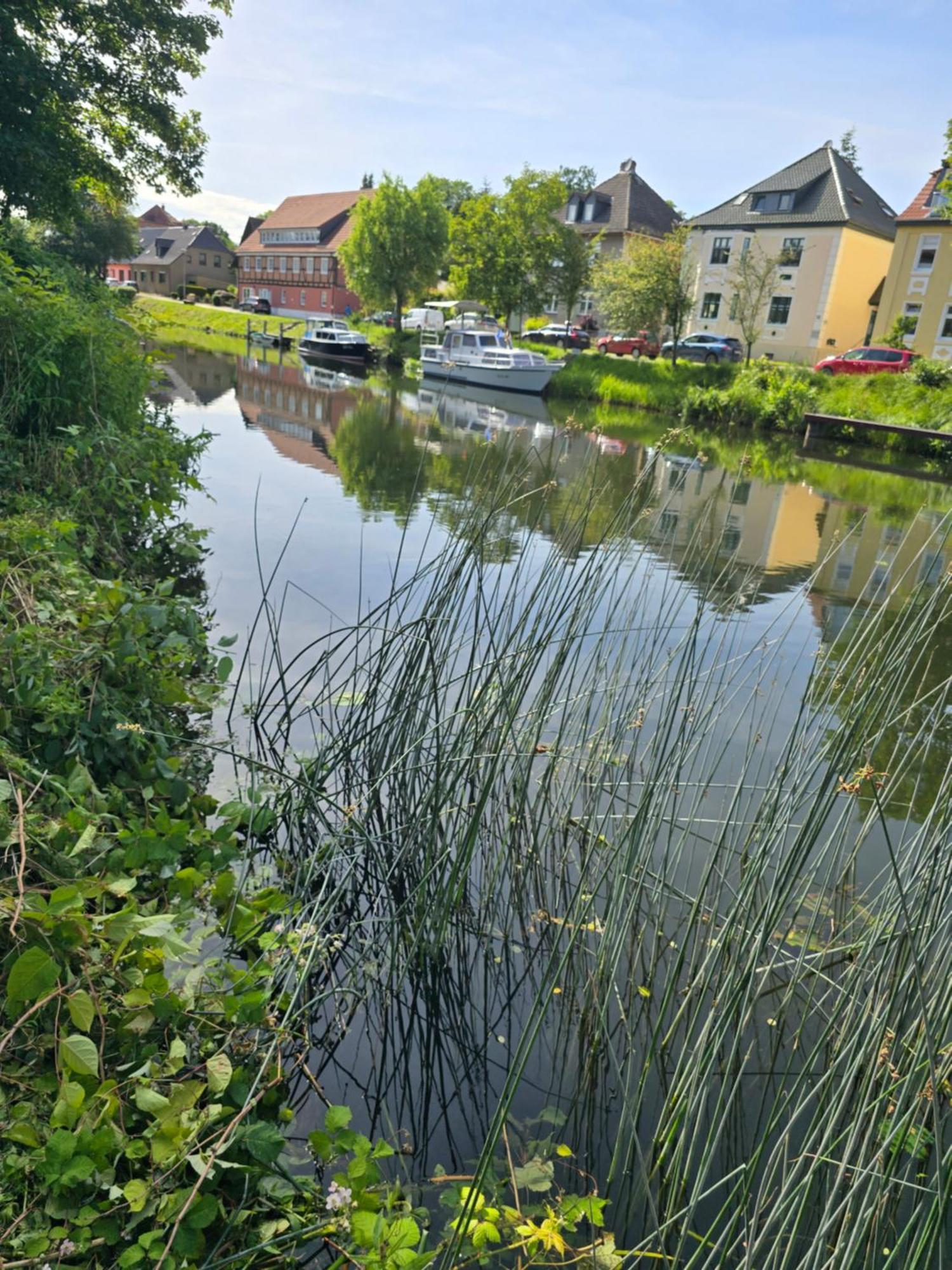 Seeschwalbe Plau Lejlighed